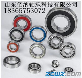 RMS 4 2RS轴承的游隙选择与影响因素详解